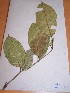  ( - MPADN0024)  @11 [ ] No Rights Reserved  Unspecified Unspecified