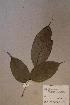  ( - Dialpach_PM5124)  @11 [ ] No Rights Reserved  NRR Unspecified