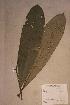  ( - Anthfrag_PM5160)  @11 [ ] No Rights Reserved  NRR Unspecified