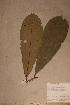  ( - Campcala_PM5161)  @11 [ ] No Rights Reserved  NRR Unspecified