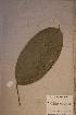 ( - Oncomann_PM5189)  @11 [ ] No Rights Reserved  NRR Unspecified
