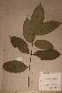  ( - Garcmann_PM5192)  @11 [ ] No Rights Reserved  NRR Unspecified