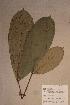  ( - Anthfrag_PM5236)  @11 [ ] No Rights Reserved  NRR Unspecified