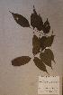  ( - Dialsp _PM5436)  @11 [ ] No Rights Reserved  NRR Unspecified