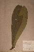  ( - Campmann_PM5568)  @11 [ ] No Rights Reserved  NRR Unspecified