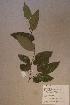  ( - Maprmemb_PM5578)  @11 [ ] No Rights Reserved  NRR Unspecified