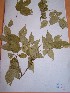  ( - MPADN0292)  @11 [ ] No Rights Reserved  Unspecified Unspecified