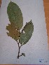  ( - MPADN0300)  @11 [ ] No Rights Reserved  Unspecified Unspecified