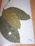  ( - MPADN0023)  @11 [ ] No Rights Reserved  Unspecified Unspecified