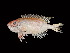  ( - TCFBP_Prta1)  @11 [ ] Unspecified (default): All Rights Reserved  Unspecified Unspecified