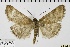  ( - ABOL-BioBlitz 2019 19-1764)  @14 [ ] CreativeCommons - Attribution Share-Alike (2020) Unspecified Private Collection of Hartmuth Strutzberg