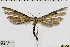  ( - ABOL-BioBlitz 2019 19-1789)  @11 [ ] CreativeCommons - Attribution Share-Alike (2020) Unspecified Private Collection of Hartmuth Strutzberg