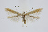  ( - BC_LSNOE_Lep_01553)  @13 [ ] CreativeCommons - Attribution Non-Commercial Share-Alike (2019) Wolfgang Stark Landessammlungen Niederösterreich