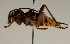  ( - ABOL-BioBlitz 2019 19-1064)  @11 [ ] CreativeCommons - Attribution Share-Alike (2020) Unspecified Bundesforschungs- und Ausbildungszentrum fur Wald