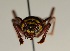  ( - ABOL-BioBlitz 2019 19-1064)  @11 [ ] CreativeCommons - Attribution Share-Alike (2020) Unspecified Bundesforschungs- und Ausbildungszentrum fur Wald