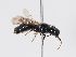  ( - ABOL-BioBlitz 2019 LB0013_S)  @11 [ ] CC NCBYSA (2020) Schoder Sabine Naturhistorisches Museum Wien