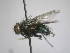  ( - ABOL-25-0383)  @11 [ ] Unspecified (default): All Rights Reserved (2025) Gerhard Schlüsslmayr Unspecified