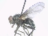 ( - ABOL-25-0386)  @11 [ ] Unspecified (default): All Rights Reserved (2025) Gerhard Schlüsslmayr Unspecified