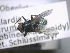  ( - ABOL-25-0390)  @11 [ ] Unspecified (default): All Rights Reserved (2025) Gerhard Schlüsslmayr Unspecified