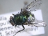  ( - ABOL-25-0403)  @11 [ ] Unspecified (default): All Rights Reserved (2025) Gerhard Schlüsslmayr Unspecified