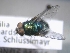  ( - ABOL-25-0409)  @11 [ ] Unspecified (default): All Rights Reserved (2025) Gerhard Schlüsslmayr Unspecified