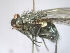  ( - ABOL-25-0422)  @11 [ ] Unspecified (default): All Rights Reserved (2025) Gerhard Schlüsslmayr Unspecified