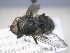  ( - ABOL-25-0671)  @11 [ ] Unspecified (default): All Rights Reserved (2025) Gerhard Schlüsslmayr Unspecified
