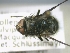  ( - ABOL-25-0672)  @11 [ ] Unspecified (default): All Rights Reserved (2025) Gerhard Schlüsslmayr Unspecified
