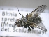  ( - ABOL-25-0712)  @11 [ ] Unspecified (default): All Rights Reserved (2025) Gerhard Schlüsslmayr Unspecified