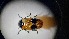  ( - ABDR24_208)  @11 [ ] Unspecified (default): All Rights Reserved (2025) Dominik Rabl Unspecified