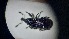  ( - ABDR24_223)  @11 [ ] Unspecified (default): All Rights Reserved (2025) Dominik Rabl Unspecified