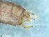  ( - ABOL-24-0380)  @11 [ ] Unspecified (default): All Rights Reserved (2024) Teufl Pia Unspecified