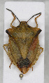  ( - ABOL-24-1202)  @11 [ ] Unspecified (default): All Rights Reserved (2024) Wolfgang Rabitsch Unspecified