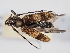  ( - ABOL-24-1254)  @11 [ ] Unspecified (default): All Rights Reserved (2024) Naturhistorisches Museum Wien Naturhistorisches Museum Wien