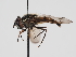  ( - ABOL-24-1289)  @11 [ ] Unspecified (default): All Rights Reserved (2024) Naturhistorisches Museum Wien Naturhistorisches Museum Wien