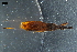  ( - ABOL-24-1415)  @11 [ ] CC-BY (2024) Naturhistorisches Museum Wien Naturhistorisches Museum Wien