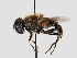 ( - ABOL-24-1877)  @11 [ ] Unspecified (default): All Rights Reserved (2024) Naturhistorisches Museum Wien Naturhistorisches Museum Wien
