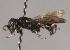  ( - ABOL-24-1947)  @11 [ ] Unspecified (default): All Rights Reserved (2024) Oberösterreichisches Landesmuseum (OLML) Unspecified