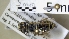  ( - ABOL-25-0010)  @11 [ ] Unspecified (default): All Rights Reserved (2025) Naturhistorisches Museum Wien Unspecified