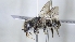  ( - ABOL-25-0017)  @11 [ ] Unspecified (default): All Rights Reserved (2025) Naturhistorisches Museum Wien Unspecified