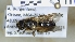  ( - ABOL-25-0019)  @11 [ ] Unspecified (default): All Rights Reserved (2025) Naturhistorisches Museum Wien Unspecified