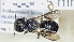  ( - ABOL-25-0027)  @11 [ ] Unspecified (default): All Rights Reserved (2025) Naturhistorisches Museum Wien Unspecified