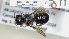  ( - ABOL-25-0028)  @11 [ ] Unspecified (default): All Rights Reserved (2025) Naturhistorisches Museum Wien Unspecified