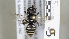  ( - ABOL-25-0032)  @11 [ ] Unspecified (default): All Rights Reserved (2025) Naturhistorisches Museum Wien Unspecified