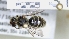  ( - ABOL-25-0033)  @11 [ ] Unspecified (default): All Rights Reserved (2025) Naturhistorisches Museum Wien Unspecified