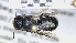  ( - ABOL-25-0038)  @11 [ ] Unspecified (default): All Rights Reserved (2025) Naturhistorisches Museum Wien Unspecified