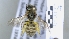  ( - ABOL-25-0040)  @11 [ ] Unspecified (default): All Rights Reserved (2025) Naturhistorisches Museum Wien Unspecified