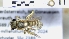  ( - ABOL-25-0041)  @11 [ ] Unspecified (default): All Rights Reserved (2025) Naturhistorisches Museum Wien Unspecified