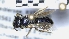  ( - ABOL-25-0049)  @11 [ ] Unspecified (default): All Rights Reserved (2025) Naturhistorisches Museum Wien Unspecified