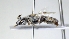  ( - ABOL-25-0057)  @11 [ ] Unspecified (default): All Rights Reserved (2025) Naturhistorisches Museum Wien Unspecified